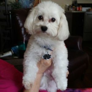 Meet your Posher, Judith